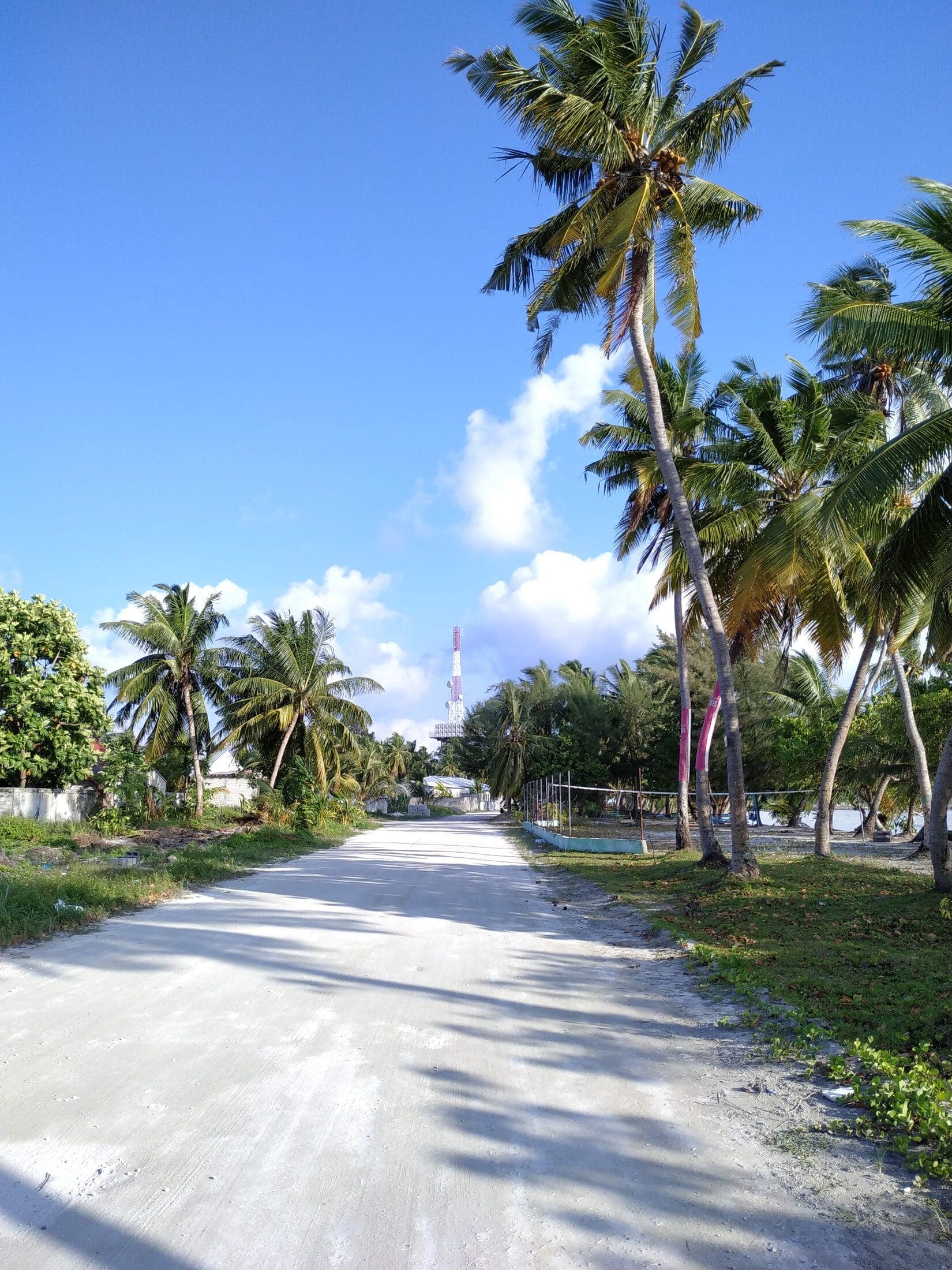 އައްޑޫ މީދޫ ކައުންސިލާ ބެހޭ